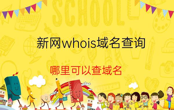 新网whois域名查询 哪里可以查域名？